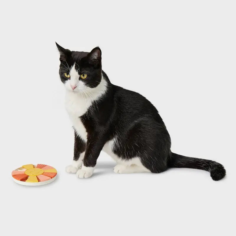 Interactive Cat Treat Puzzle Toy Sunshine Plastic Food Dispenser Mental Stimulation Boredom Relief Pet Training Supplies