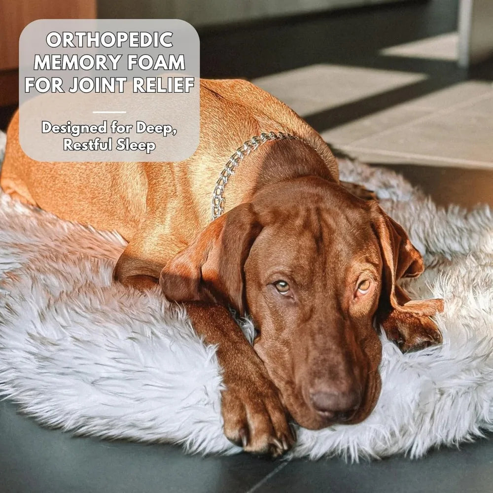 Luxury Faux Fur Orthopedic Memory Foam Dog Bed for Small to XL Pets, Plush Pet Rug with Warmth and Comfort