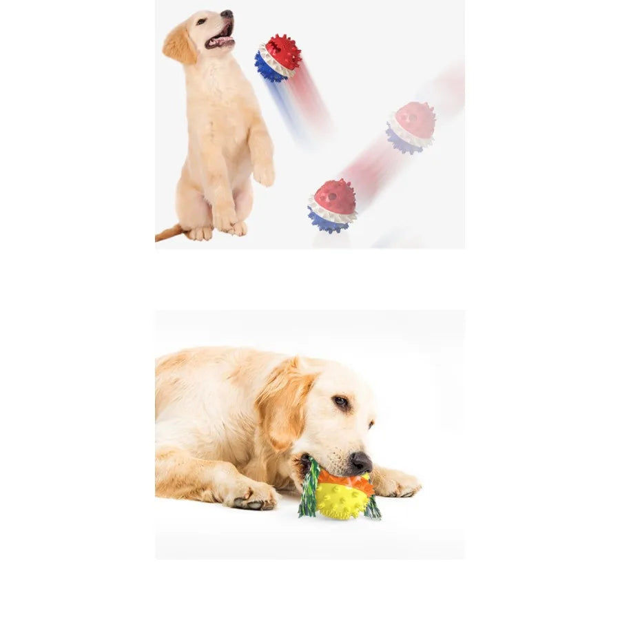 Pet Chew Toy Interactive Treat Toy Squeaky Bounce Toy with Rope for Aggressive Dog Chewers