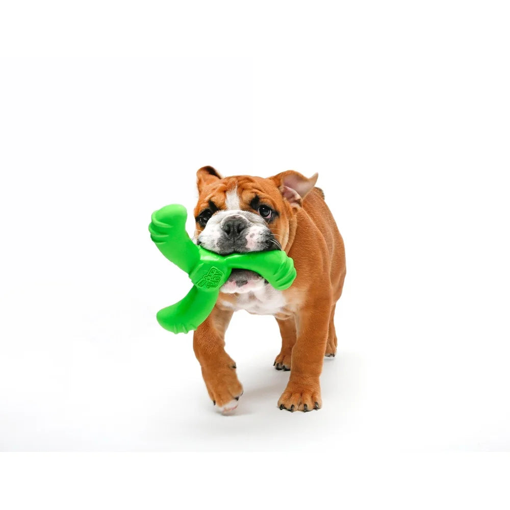 Durable Latex Dog Toy Lightweight Foam Squeaky Chewable Floatable Waterproof Indoor Outdoor Play Perfect Puppies and Senior Dogs