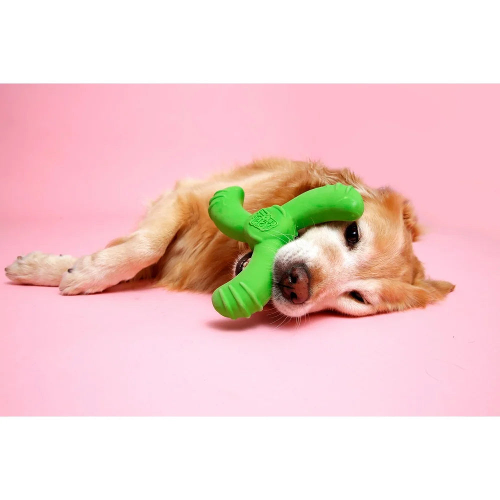 Durable Latex Dog Toy Lightweight Foam Squeaky Chewable Floatable Waterproof Indoor Outdoor Play Perfect Puppies and Senior Dogs