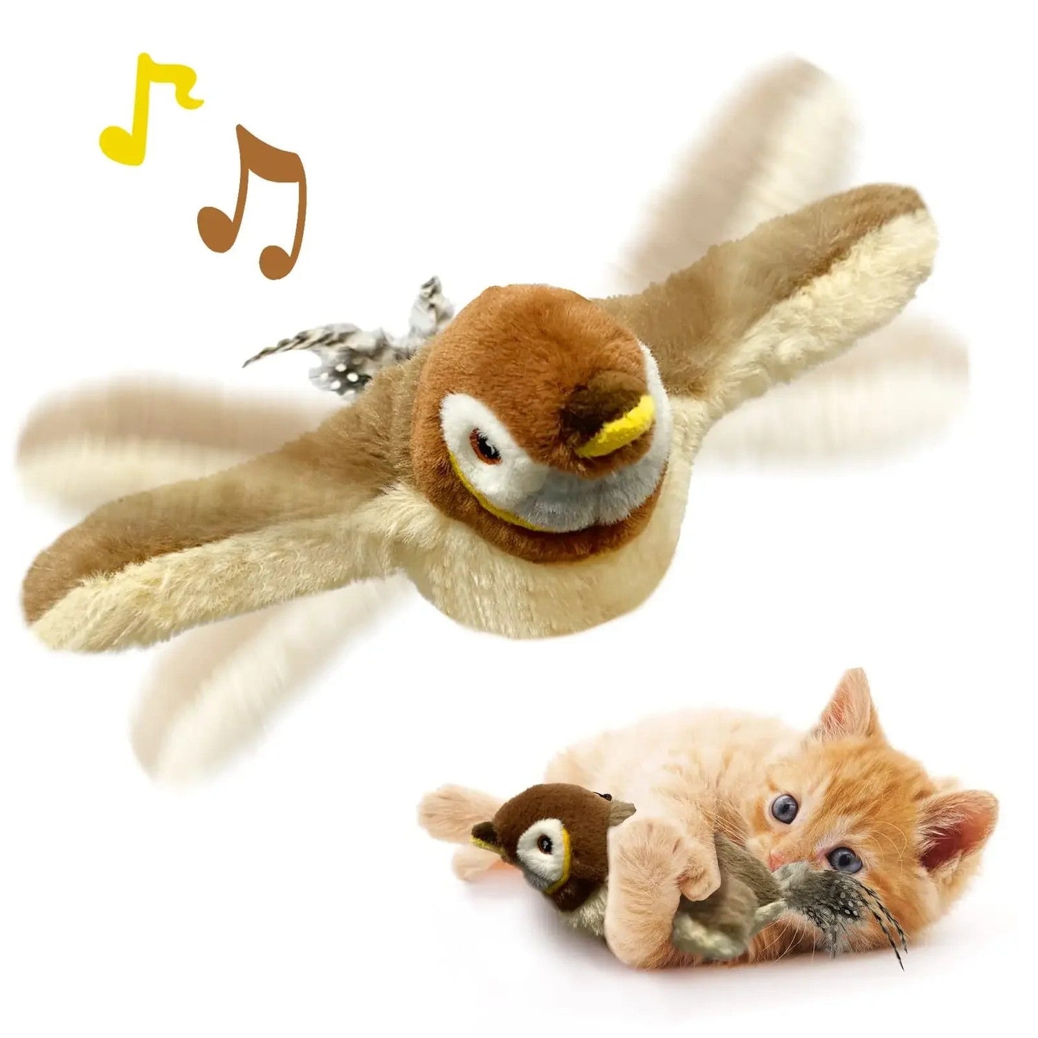 Cat Toys
