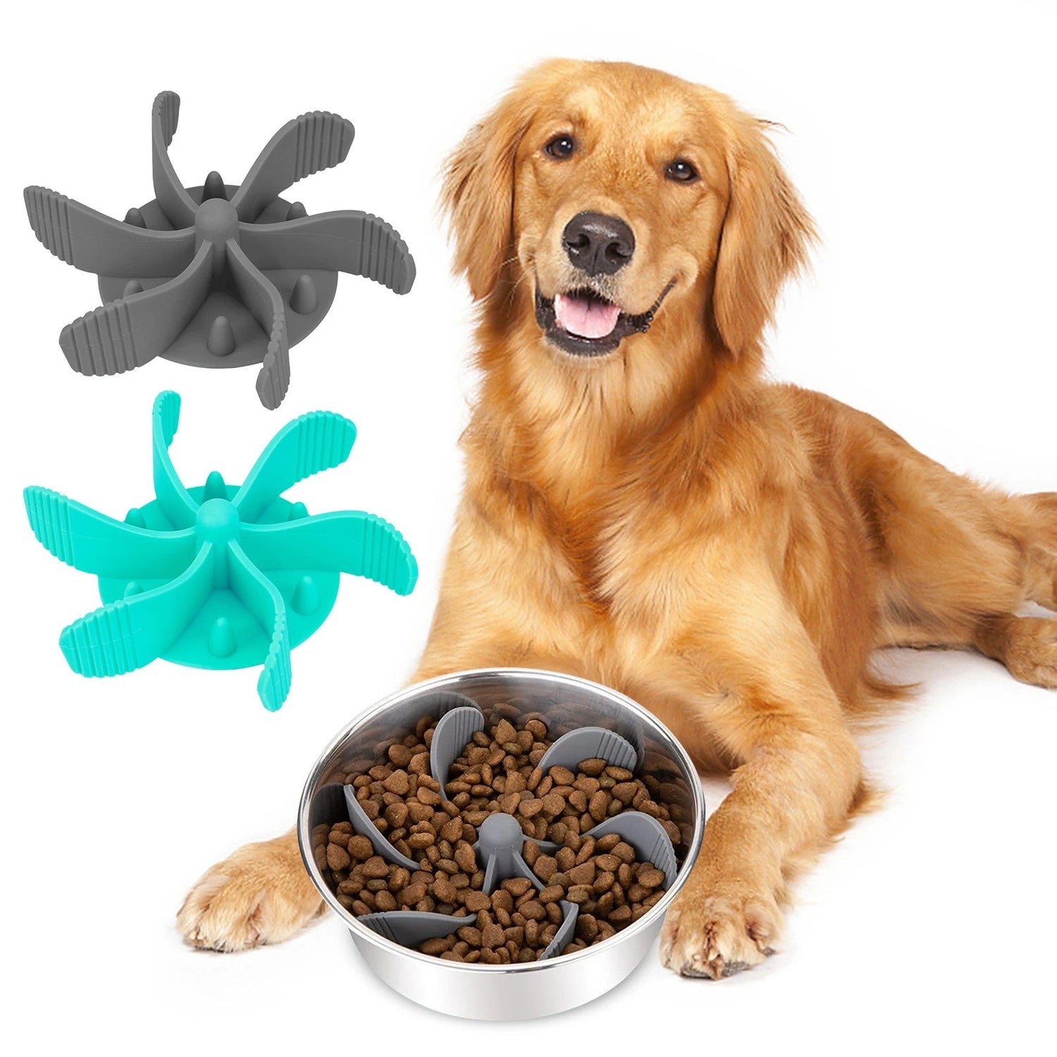 Pet Bowls/Feeding
