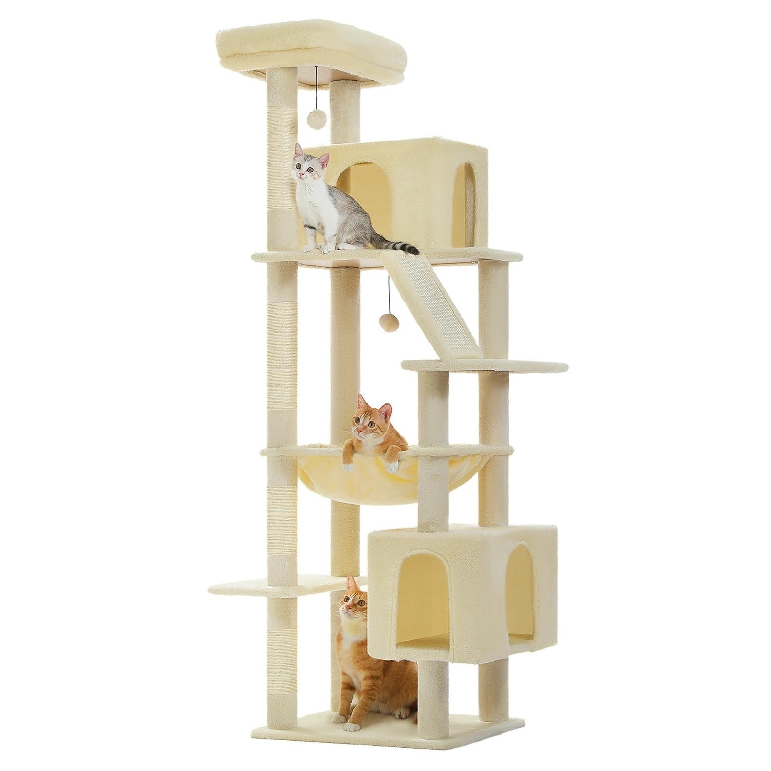 Pet Homes