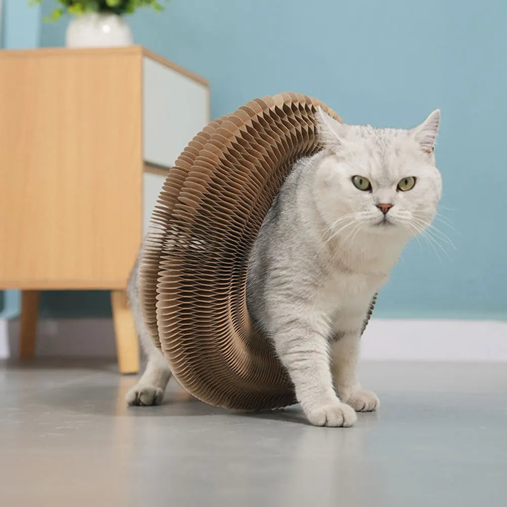 Magic Organ Cat Scratching Board Cat Grinding Claw Scratching Board Foldable Round Corrugated Cats Interactive Toys Pet Supplies