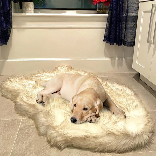 Luxury Faux Fur Orthopedic Memory Foam Dog Bed for Small to XL Pets, Plush Pet Rug with Warmth and Comfort