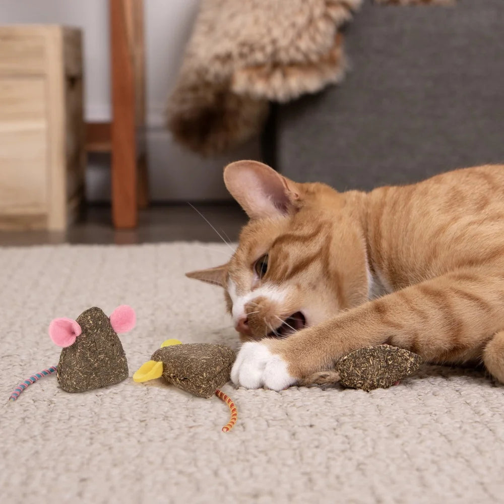 3 Pack Compressed Catnip Mice Toys Cats Elastic Tails Felt Ears Natural Stimulant Fun Playtime Ideal Solo Play