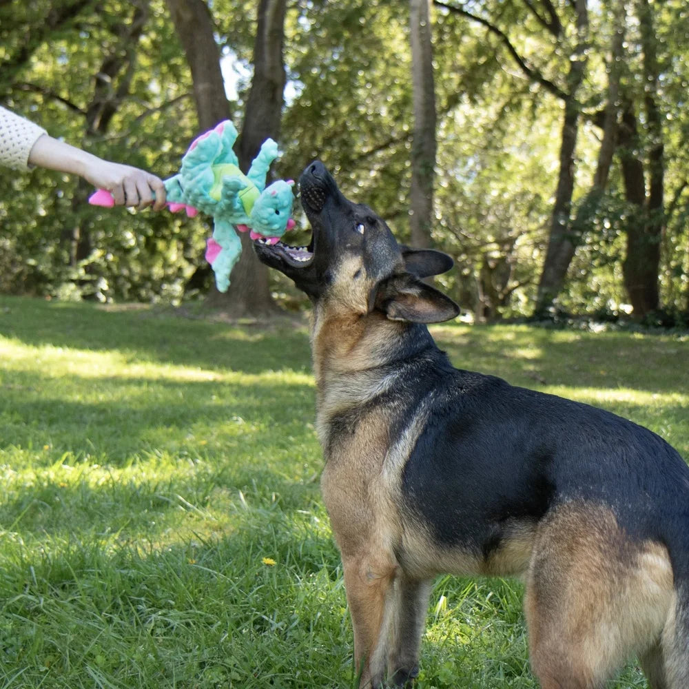 Extra Soft Plush Dragon Dog Toy with Chew Guard Technology Durable Squeaker Crinkle Wings Interactive Play Medium Large Dogs