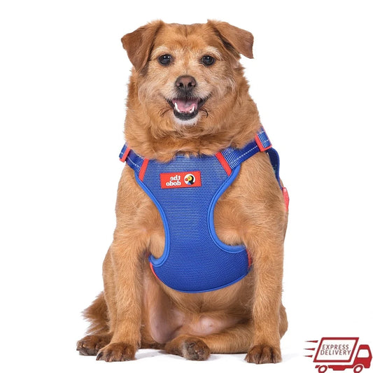 Adjustable Dog Harness Breathable Mesh Step-in Style Comfortable Fit Secure Snap Buckle Wide-band Chest Coverage Leash D-ring