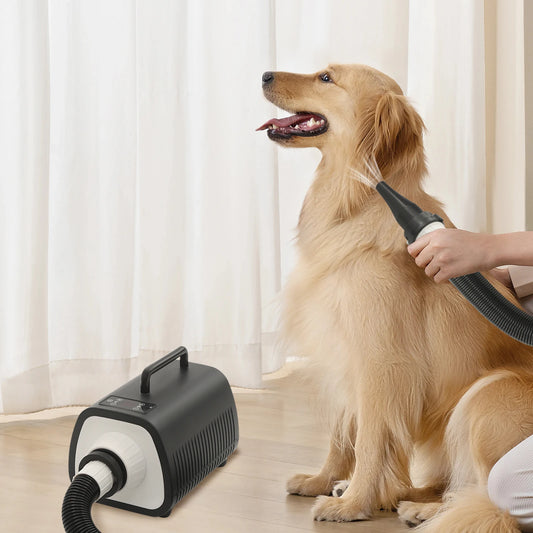 2100W Dog Grooming Blow Dryer Hair Dryer With Handles 9 Speed Adjustment (77-140℉) Led Display 3 Nozzles For Dogs