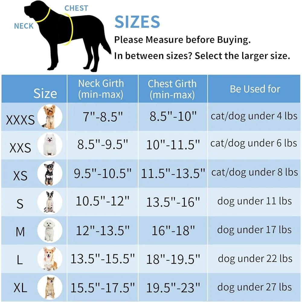 Step in Dog Harness Leash Set No Pull Escape Proof Soft Mesh Vest Reflective Bands Breathable Comfortable Small Dogs