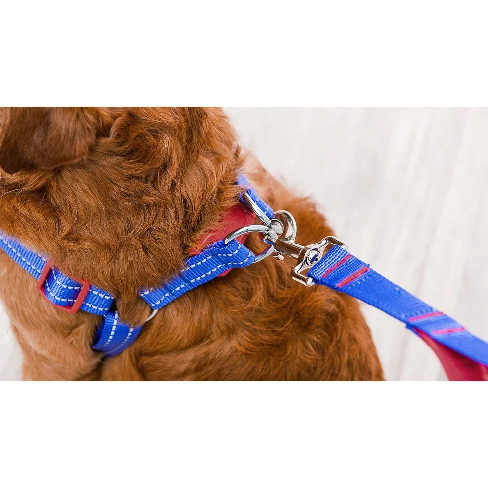 Adjustable Dog Harness Breathable Mesh Step-in Style Comfortable Fit Secure Snap Buckle Wide-band Chest Coverage Leash D-ring