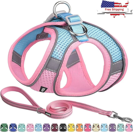 Step in Dog Harness Leash Set No Pull Escape Proof Soft Mesh Vest Reflective Bands Breathable Comfortable Small Dogs