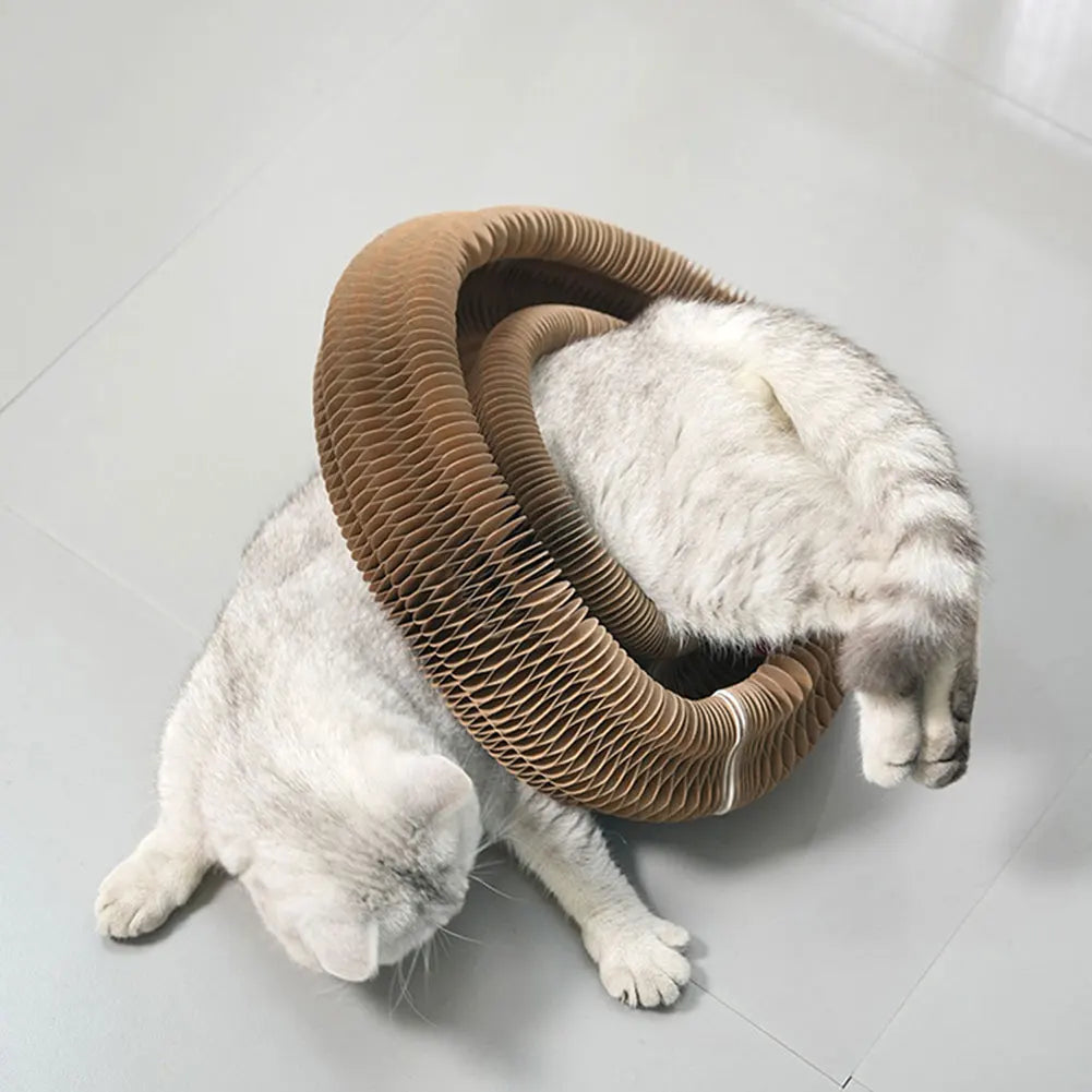 Magic Organ Cat Scratching Board Cat Grinding Claw Scratching Board Foldable Round Corrugated Cats Interactive Toys Pet Supplies