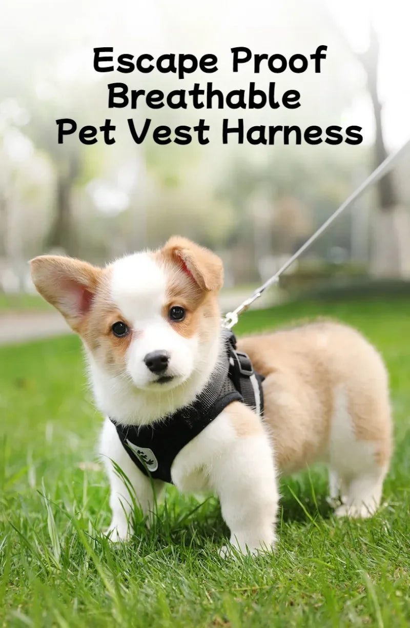 Dog Harness Walking Lead Leash For Small Dogs Collar Polyester Adjustable Mesh Puppy Cat Harness Vest For Medium Pet Accessories