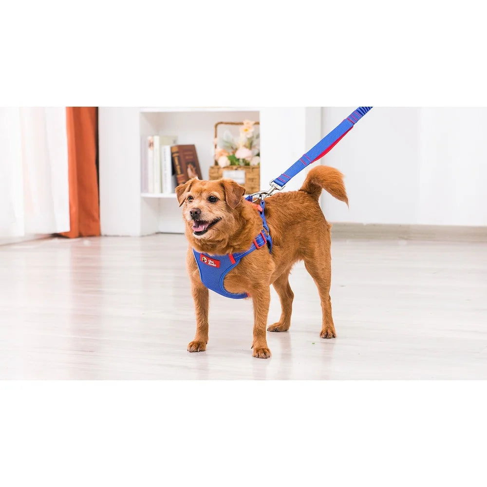 Adjustable Dog Harness Breathable Mesh Step-in Style Comfortable Fit Secure Snap Buckle Wide-band Chest Coverage Leash D-ring
