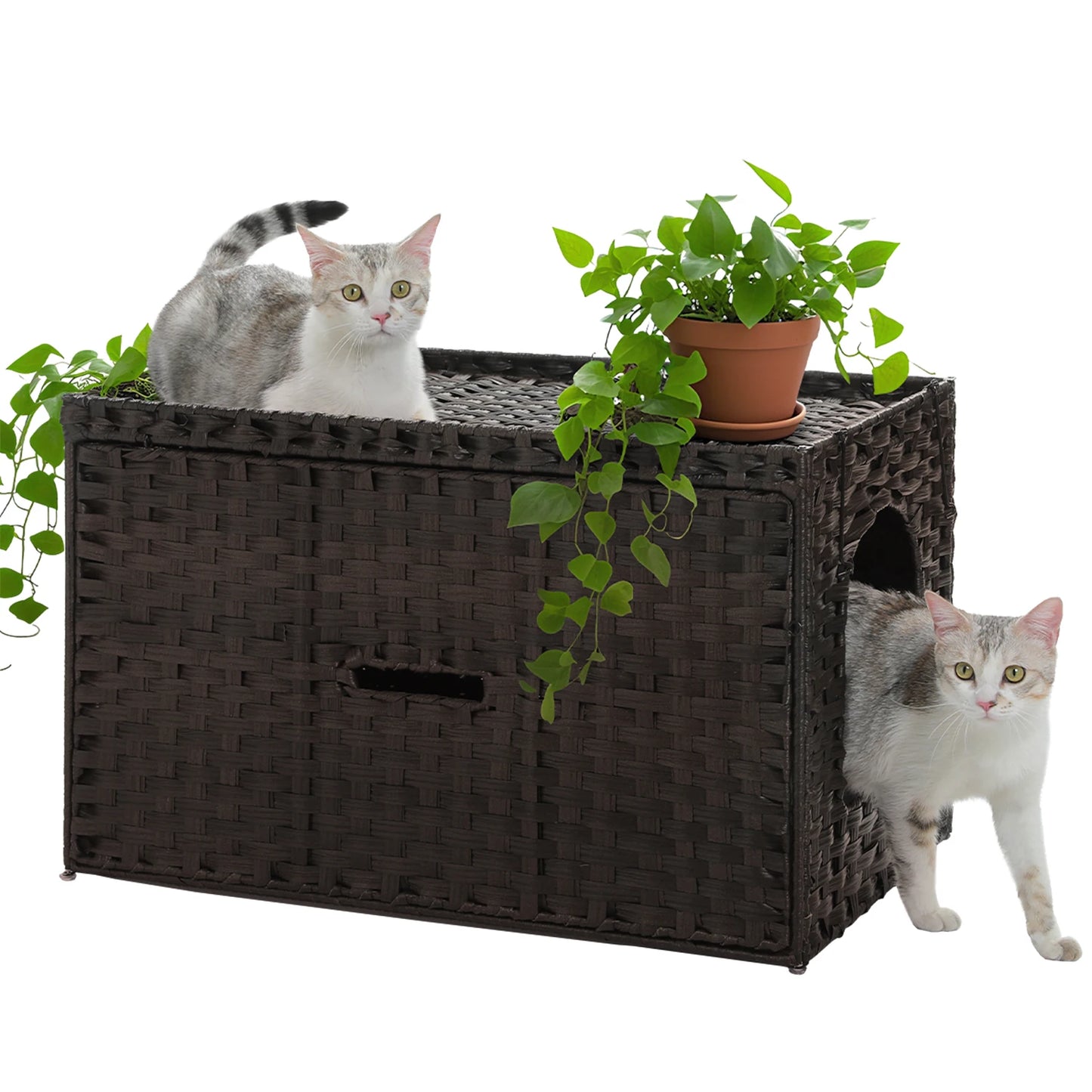 Cat Litter Box Enclosure Furniture with Door Hidden Litter Box Handwoven Rattan Cat House Bed for Large Cats Indoor Living Room