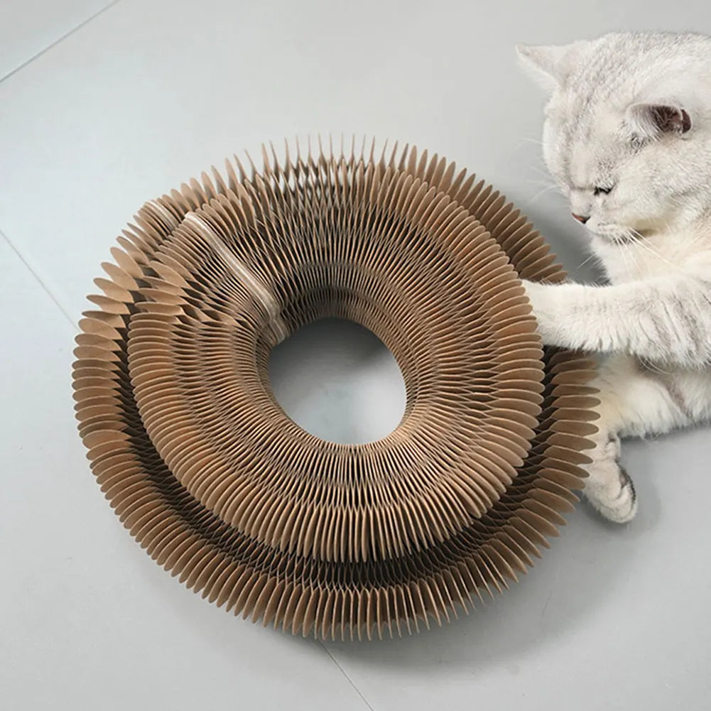 Magic Organ Cat Scratching Board Cat Grinding Claw Scratching Board Foldable Round Corrugated Cats Interactive Toys Pet Supplies