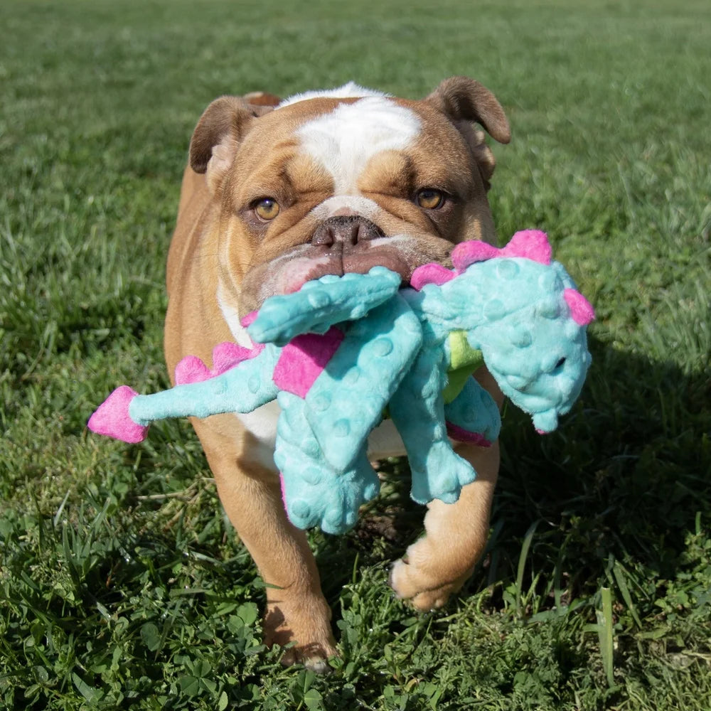 Extra Soft Plush Dragon Dog Toy with Chew Guard Technology Durable Squeaker Crinkle Wings Interactive Play Medium Large Dogs