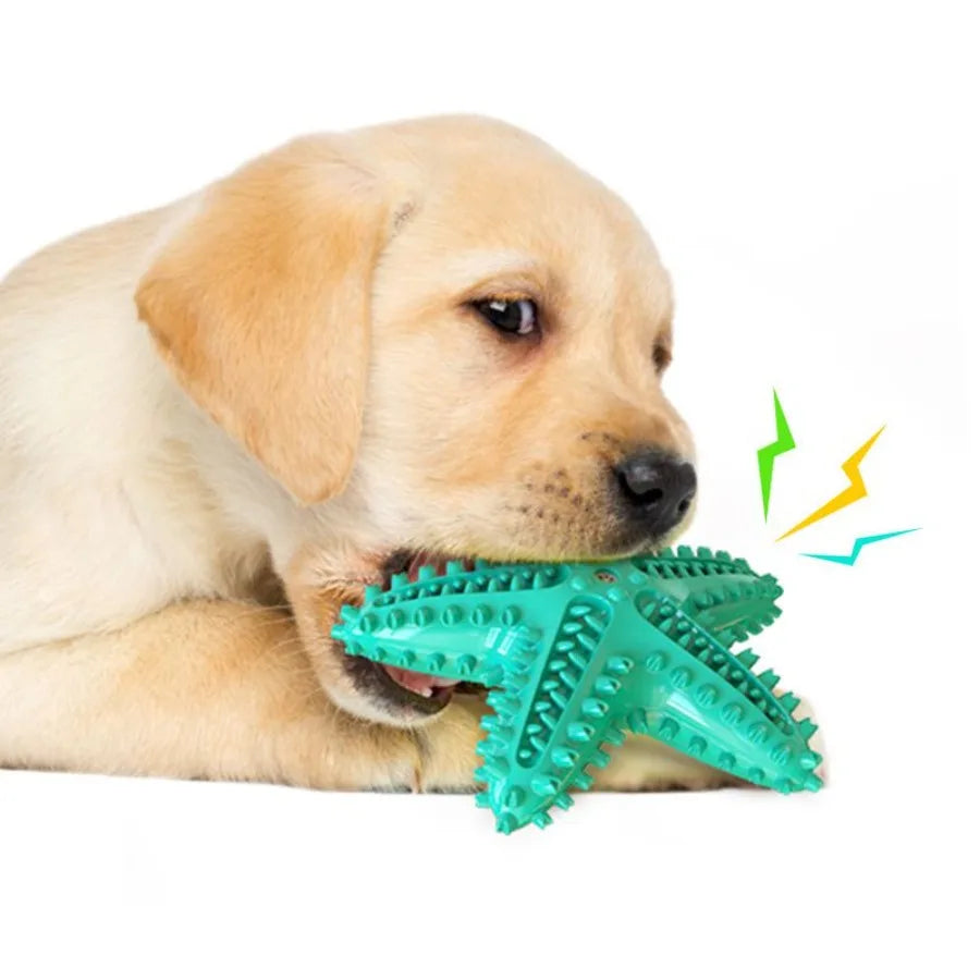 Dog Toy Molar Stick Leaking Food Dog Toothbrush