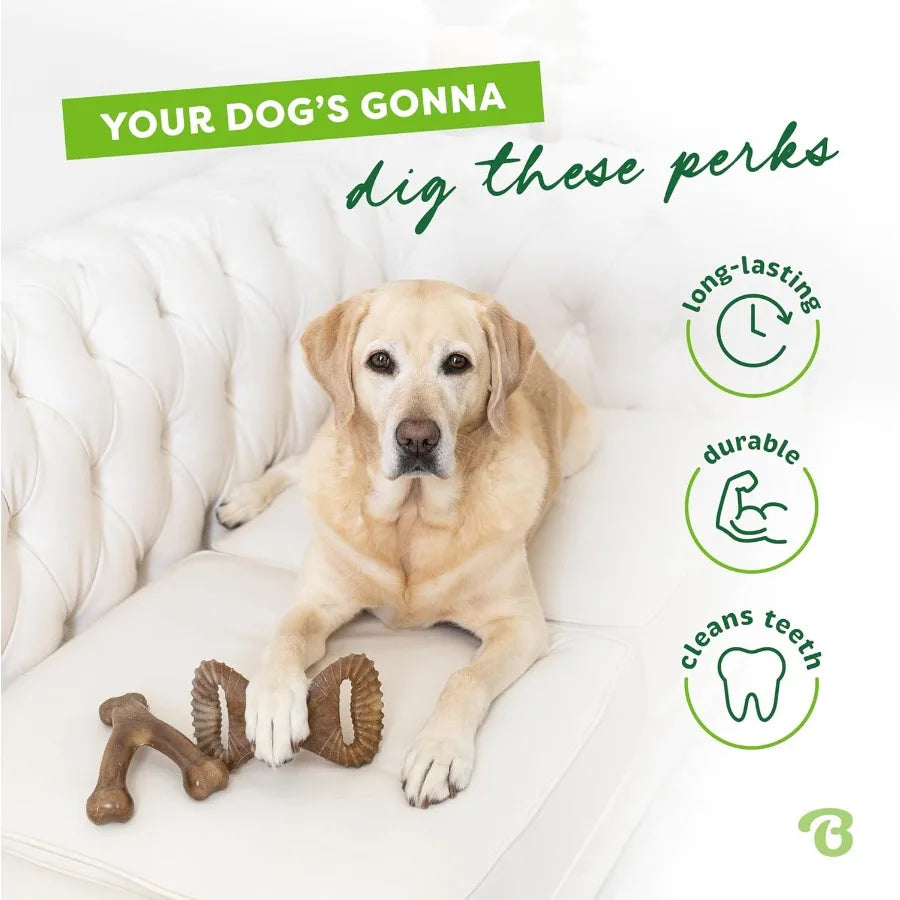 2Pack Wishbone Dental Durable Dog Chew Toys Real Bacon Made in USA Large