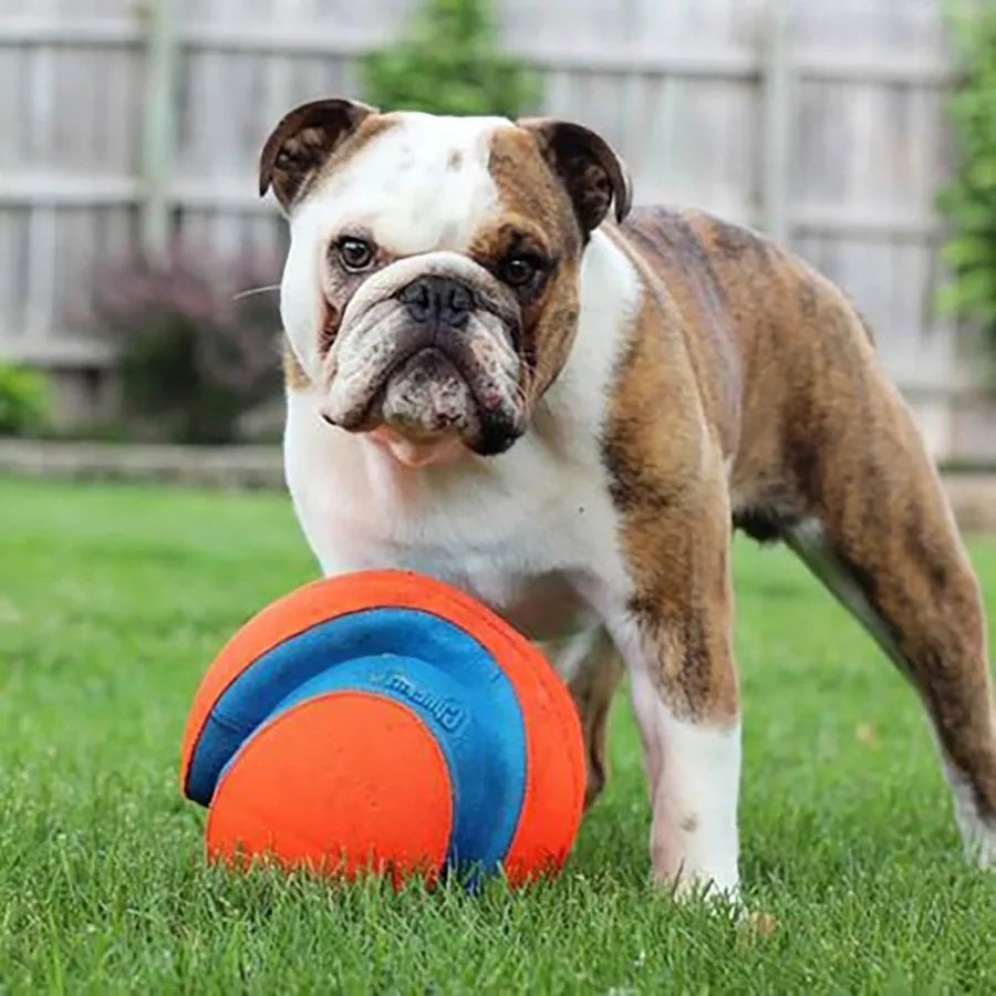 Kick Fetch Ball Dog Toy Floats in Water Perfect for Interactive Play Made with Durable Rubber and Foam For Large Dogs Size Larg