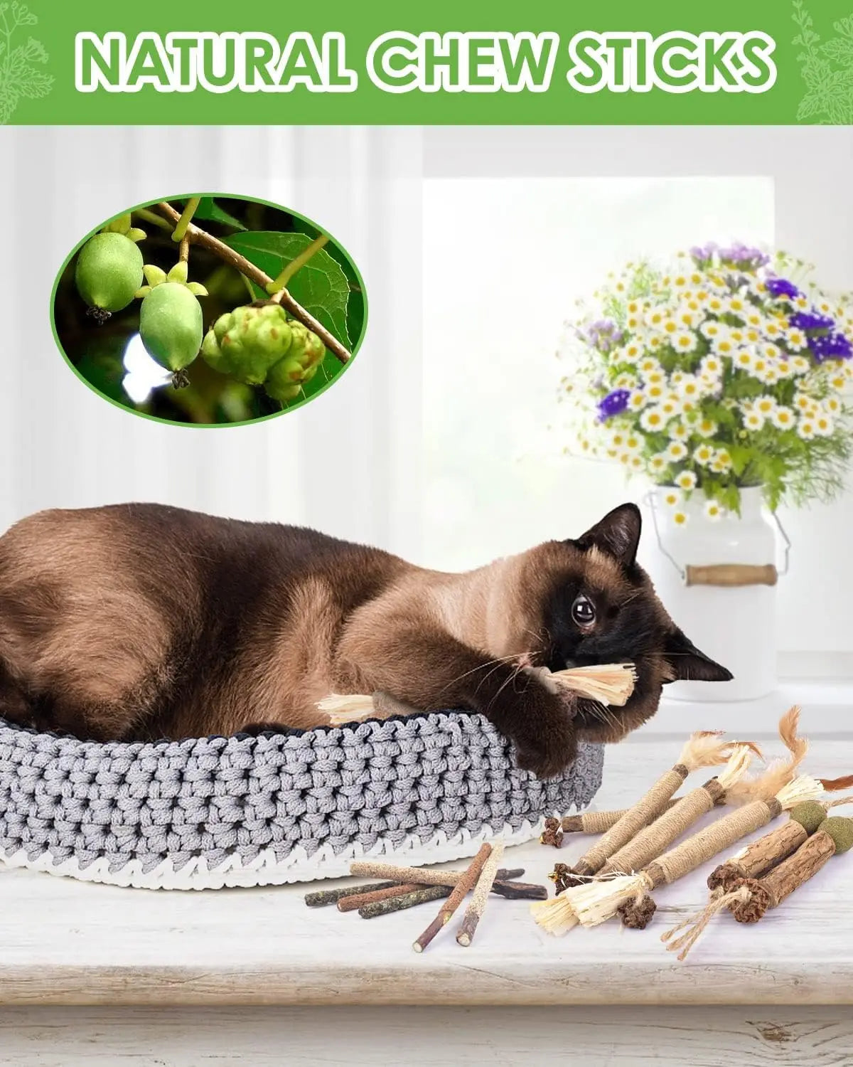 Cat gritting toy, 12 packs of natural silver vine sticks, used for cat tooth cleaning, dental care, and appetite enhancement