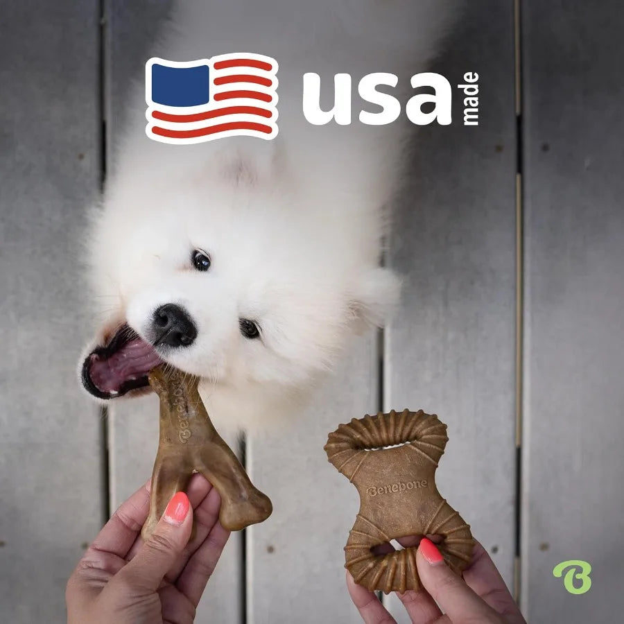 2Pack Wishbone Dental Durable Dog Chew Toys Real Bacon Made in USA Large
